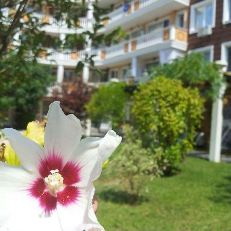 Villa Aria Complex Sunny Beach Exterior photo